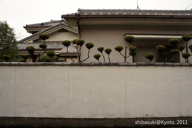 20111202_Kyoto-4_毘沙門堂_1.JPG