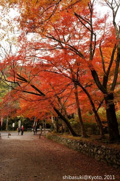 20111202_Kyoto-9_毘沙門堂_1.JPG