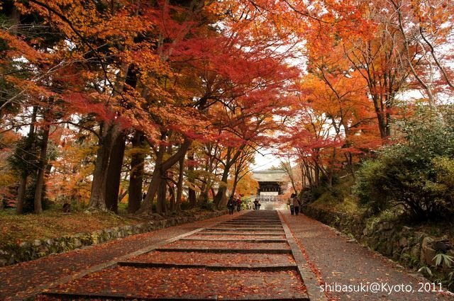 20111202_Kyoto-18_毘沙門堂_1.JPG