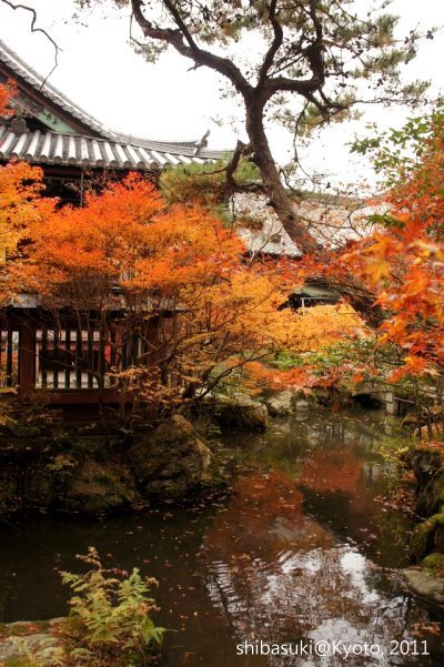 20111202_Kyoto-58_毘沙門堂_1.JPG