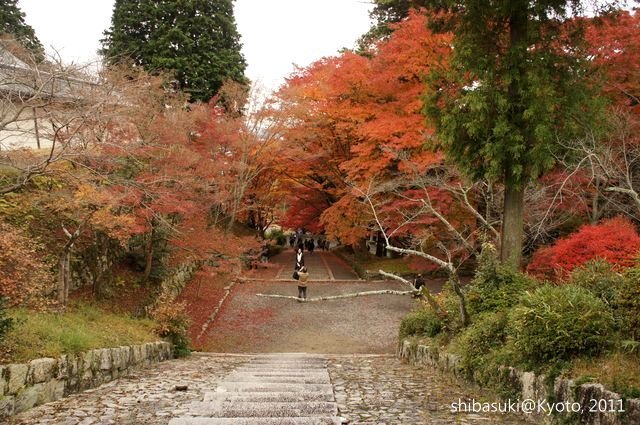 20111202_Kyoto-84_毘沙門堂_1.JPG