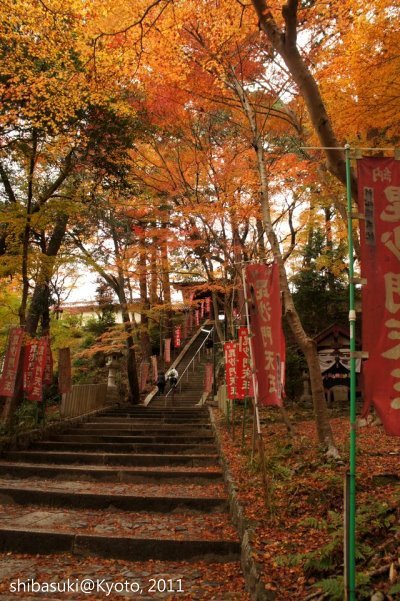 20111202_Kyoto-101_毘沙門堂_1.JPG