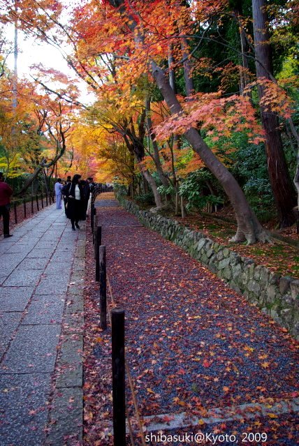 20091128_Kyoto-462_光明寺s