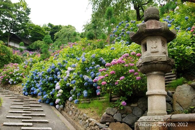 20120630_Kyoto-231_善峰寺_1.JPG