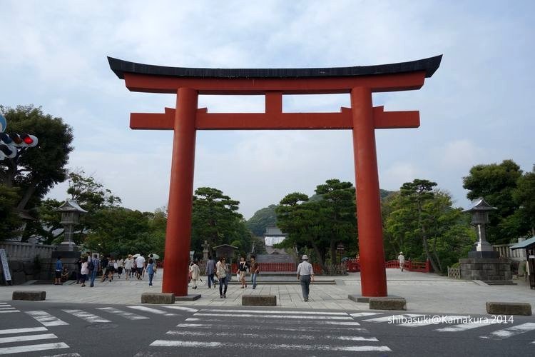 20140616_Kamakura-175_鶴岡八幡宮_1.JPG