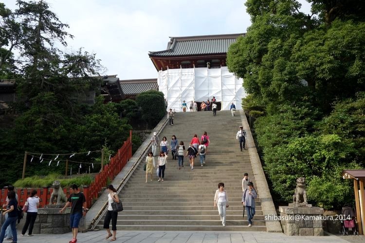 20140616_Kamakura-182_鶴岡八幡宮_1.JPG