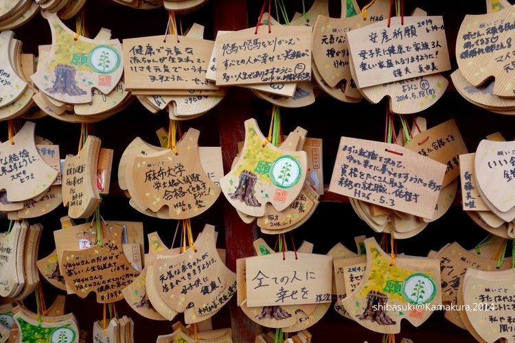 20140616_Kamakura-184_鶴岡八幡宮_1.JPG