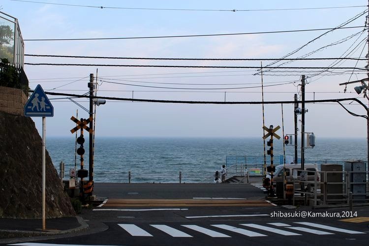 20140616_Kamakura-189_鎌倉高校前_1.JPG