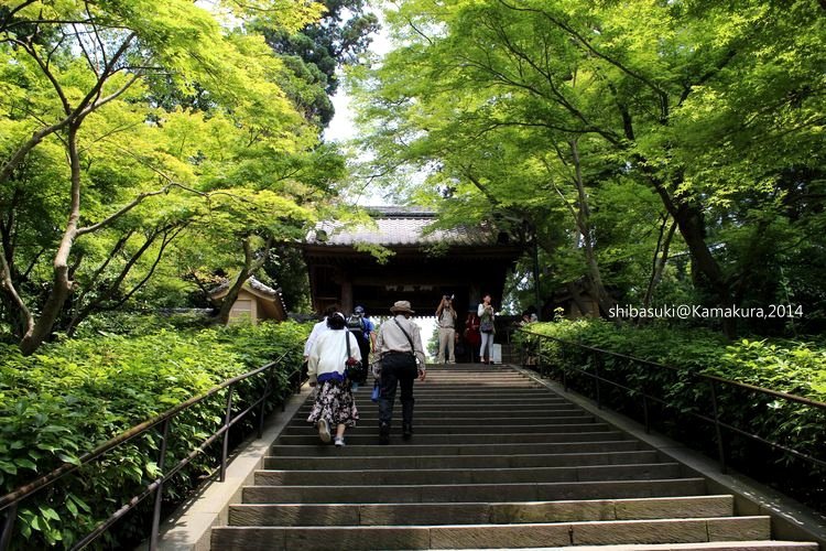 20140616_Kamakura-12_圓覺寺_1.JPG