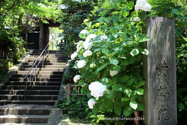 20140616_Kamakura-27_圓覺寺_1.JPG