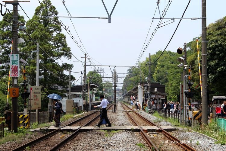 20140616_Kamakura-37_北鎌倉_1.JPG