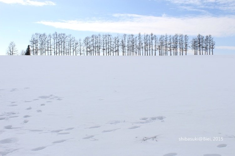 20150222_美瑛-214_Mild Seven Hills_s2.JPG