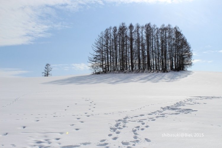 20150222_美瑛-248_Mild Seven Hills_s2.JPG