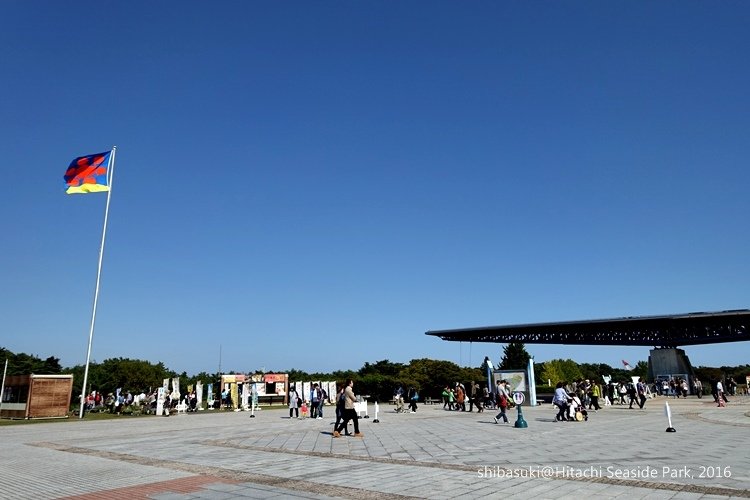 20161015_茨城-51_常陸海濱公園_s.JPG