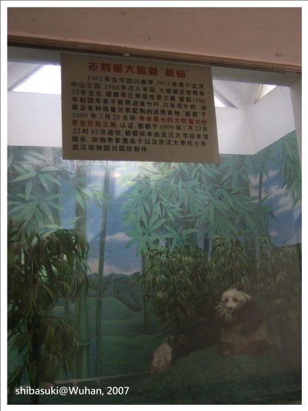 20071219_Wuhan-15_Zoo_1.JPG