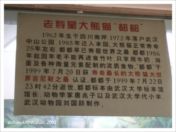 20071219_Wuhan-17_Zoo_1.JPG