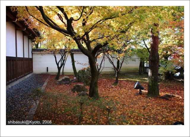 20081125_Kyoto-7_永觀堂.jpg