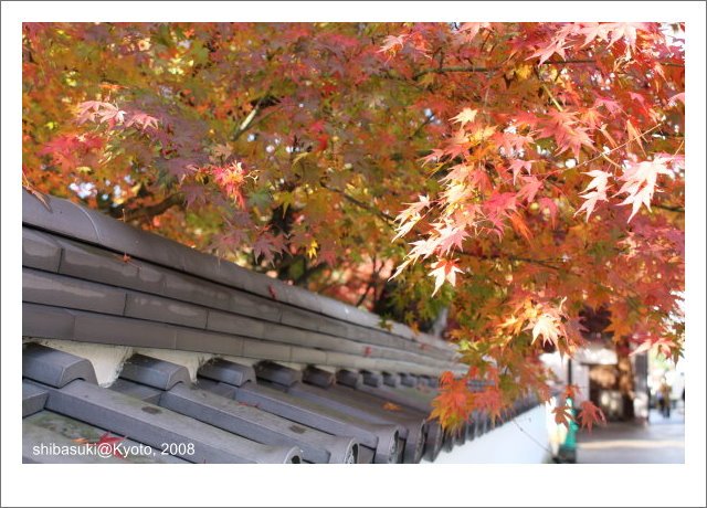 20081125_Kyoto-14_永觀堂.jpg