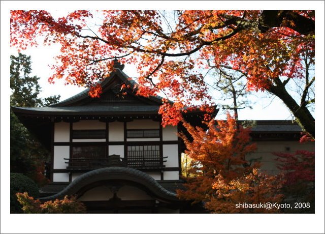 20081125_Kyoto-21_永觀堂.jpg