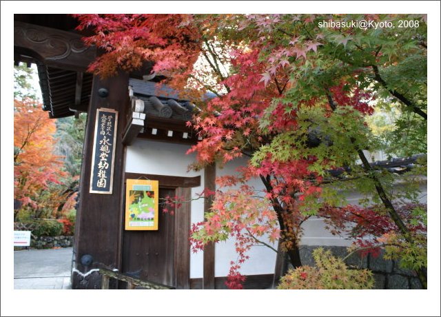 20081125_Kyoto-33_永觀堂.jpg