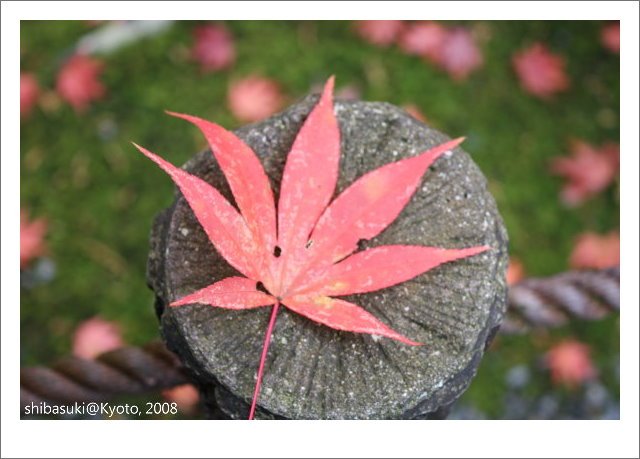20081125_Kyoto-120_南禪院.jpg
