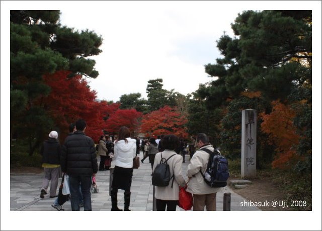 20081129_宇治-20_平等院.JPG