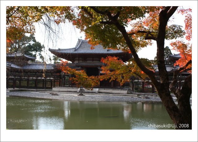 20081129_宇治-29_平等院.JPG