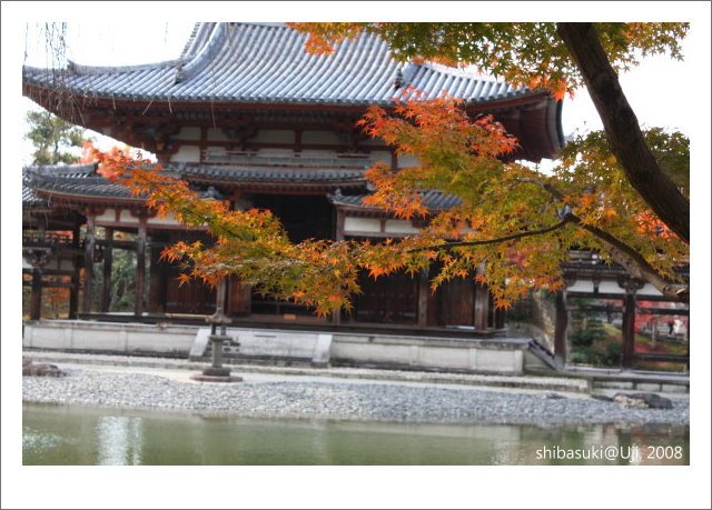 20081129_宇治-31_平等院.JPG