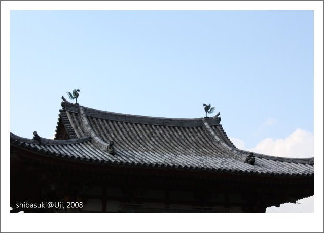 20081129_宇治-38_平等院.JPG