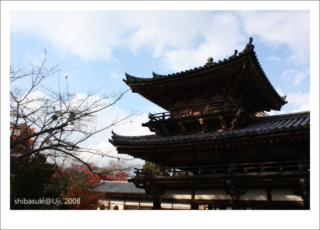 20081129_宇治-49_平等院.JPG