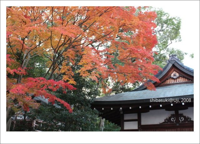 20081129_宇治-90_宇治神社.JPG