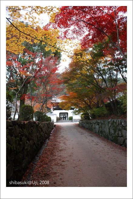 20081129_宇治-101_興盛寺.JPG