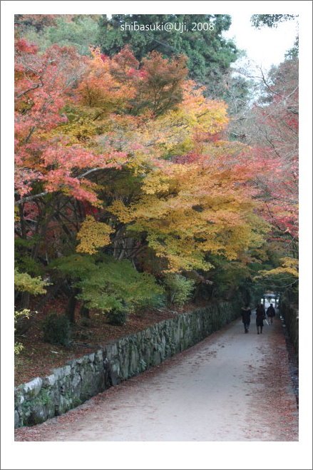 20081129_宇治-103_興盛寺.JPG