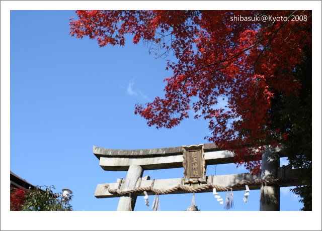 20081130_Kyoto-21_清水寺.JPG