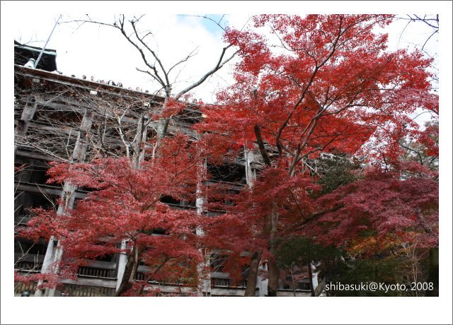 20081130_Kyoto-43_清水寺.JPG