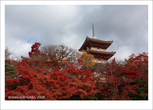 20081130_Kyoto-45_清水寺.JPG