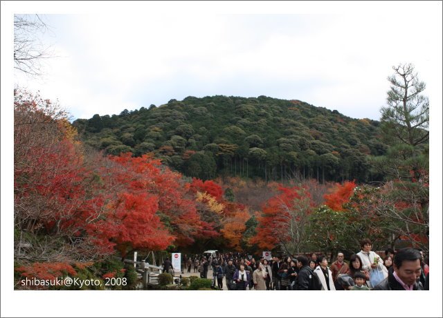 20081130_Kyoto-48_清水寺.JPG