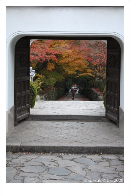 20081129_宇治-112_興盛寺.jpg