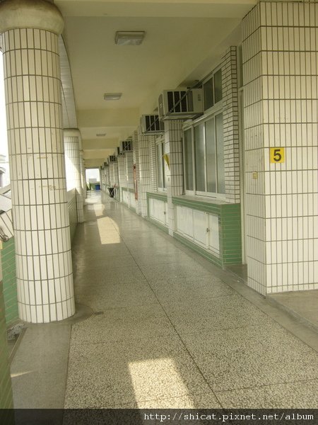 P1150593.JPG