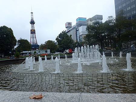 P9170787.JPG