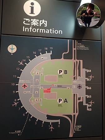 P9170870.JPG