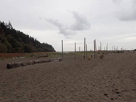 PA121876