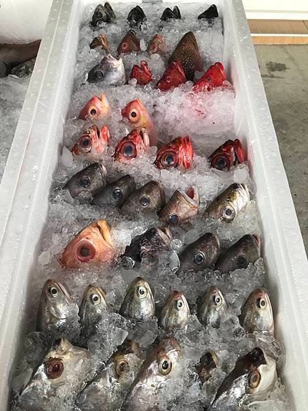 【台東】大武鄉必遊景點NO.1，網路推薦美食打卡