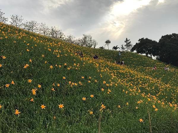 【彰化】花壇鄉必遊景點NO.1，網路推薦美食打卡