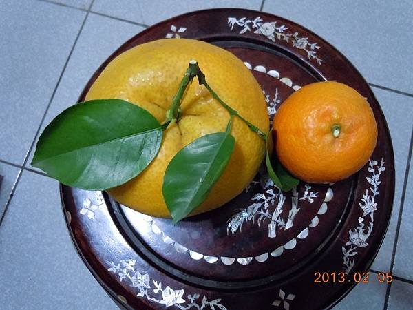 DSCN1140