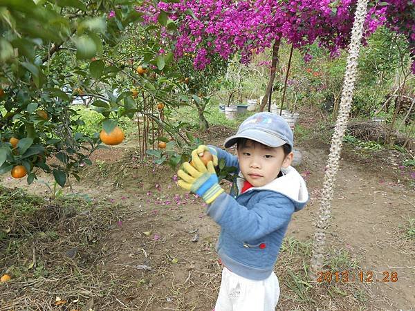 DSCN2683