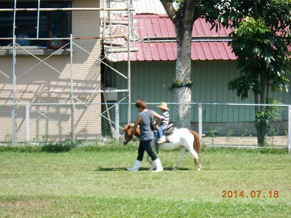 DSCN5502