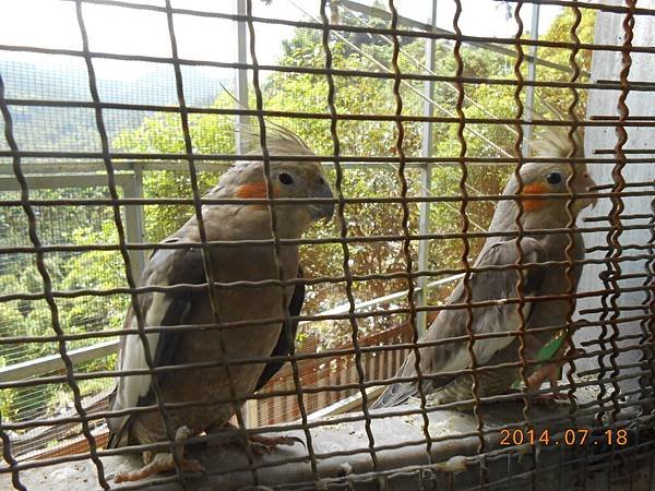 DSCN5496