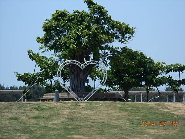 DSCN5546