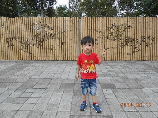 DSCN5773